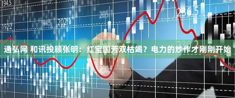 通弘网 和讯投顾张明：红宝国芳双枯竭？电力的炒作才刚刚开始