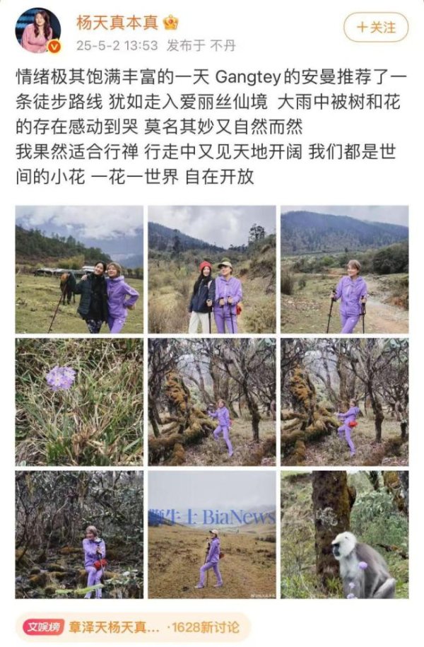 钱程策略 章泽天最新动态曝光 与杨天真不丹徒步