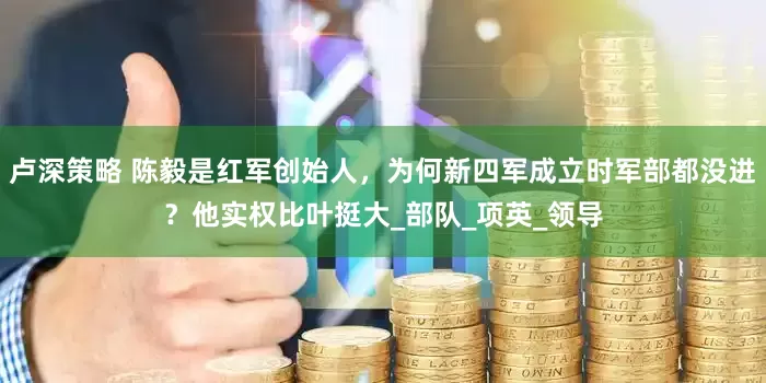 卢深策略 陈毅是红军创始人，为何新四军成立时军部都没进？他实权比叶挺大_部队_项英_领导