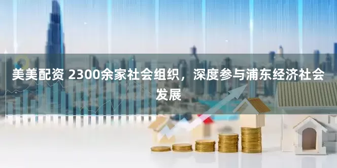 美美配资 2300余家社会组织，深度参与浦东经济社会发展