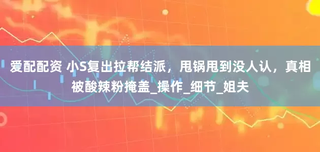 爱配配资 小S复出拉帮结派，甩锅甩到没人认，真相被酸辣粉掩盖_操作_细节_姐夫